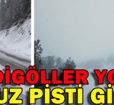 YEDİGÖLLER YOLU BUZ PİSTİ GİBİ