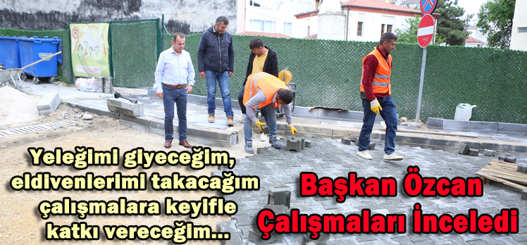 Başkan Özcan Çalışmaları İnceledi