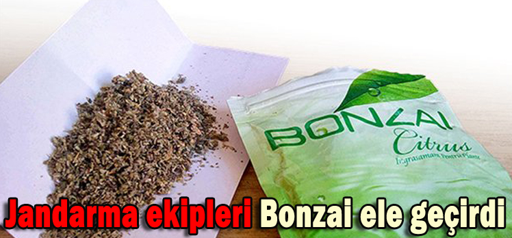 Jandarma ekipleri Bonzai ele geçirdi