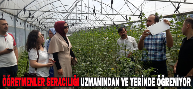 ÖĞRETMENLER SERACILIĞI UZMANINDAN VE YERİNDE ÖĞRENİYOR