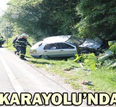 D-100 KARAYOLU’NDA KAZA: 3 YARALI