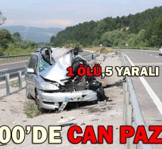 D-100 KARAYOLUNDA CAN PAZARI