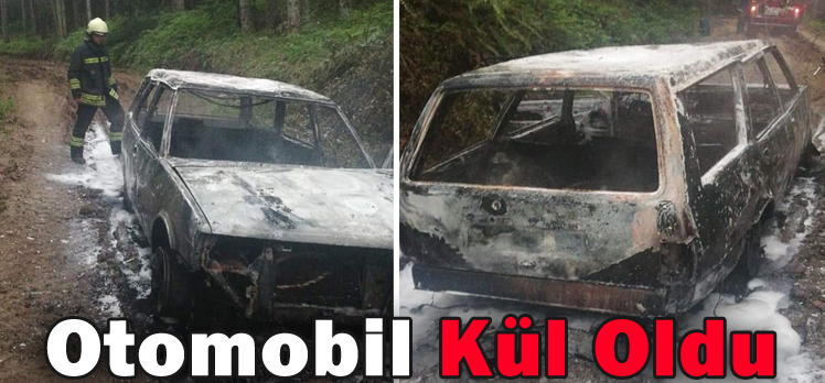 Otomobil Kül Oldu