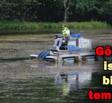 Gölcük’te istilacı bitkiler temizleniyor