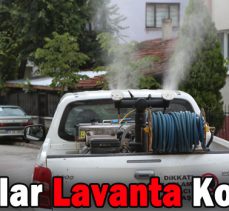 SOKAKLAR LAVANTA KOKACAK