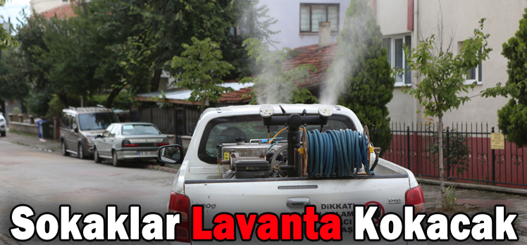 SOKAKLAR LAVANTA KOKACAK