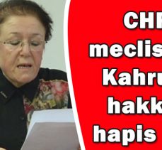 CHP’li  meclis üyesi  Kahruman  hakkında  hapis istemi