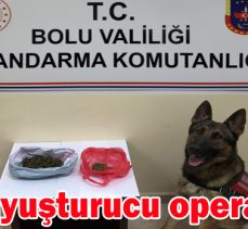 Bolu’ uyuşturucu operasyonu