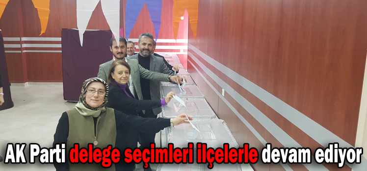 AK Parti delege seçimleri ilçelerle devam ediyor