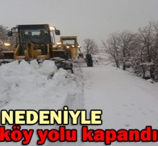 KAR NEDENİYLE/ 273 köy yolu kapandı