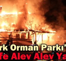 Atatürk Orman Parkı’ndaki Kafe Alev Alev Yandı