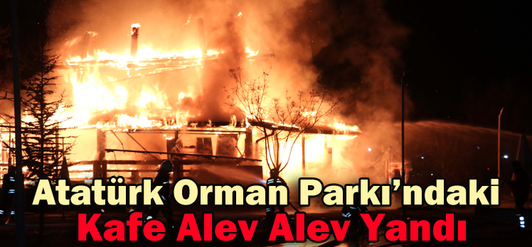 Atatürk Orman Parkı’ndaki Kafe Alev Alev Yandı