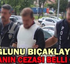 Oğlunu Bıçaklayan Babanın Cezası Belli Oldu