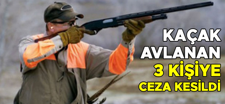 KAÇAK AVLANAN 3 KİŞİYE CEZA KESİLDİ