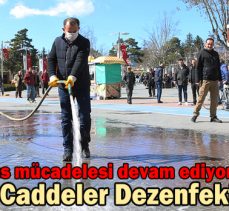 Park ve Caddeler Dezenfekte Edildi