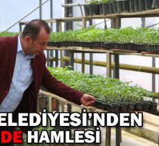 Bolu Belediyesi’nden “yerli fide” hamlesi