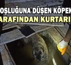 ASANSÖR BOŞLUĞUNA DÜŞEN KÖPEK İTFAİYE TARAFINDAN KURTARILDI