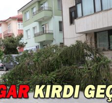 RÜZGAR KIRDI GEÇİRDİ/ AĞAÇLAR FIRTINAYA DAYANAMADI