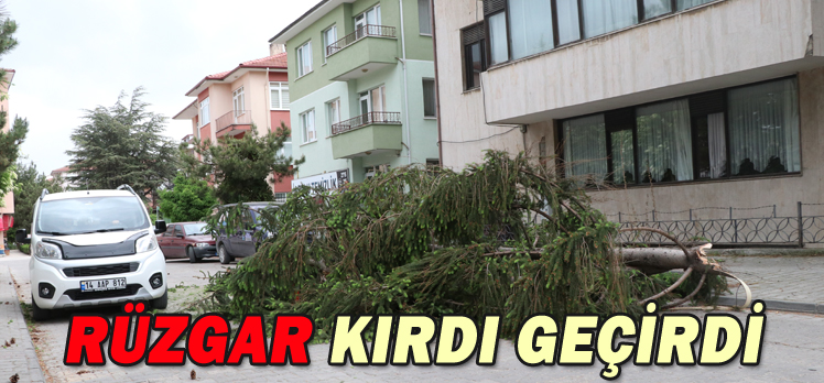 RÜZGAR KIRDI GEÇİRDİ/ AĞAÇLAR FIRTINAYA DAYANAMADI