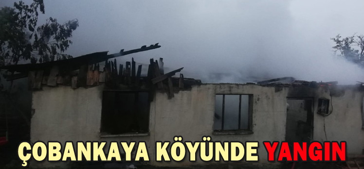 ÇOBANKAYA KÖYÜNDE YANGIN