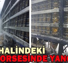 SEYİR HALİNDEKİ TIRIN DORSESİNDE YANGIN