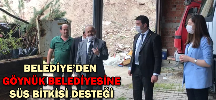 BELEDİYE’DEN  GÖYNÜK BELEDİYESİNE SÜS BİTKİSİ DESTEĞİ