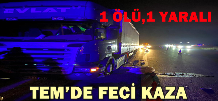 TEM’DE FECİ KAZA: 1 ÖLÜ,1 YARALI