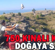 750 KINALI KEKLİK DOĞAYA SALINDI