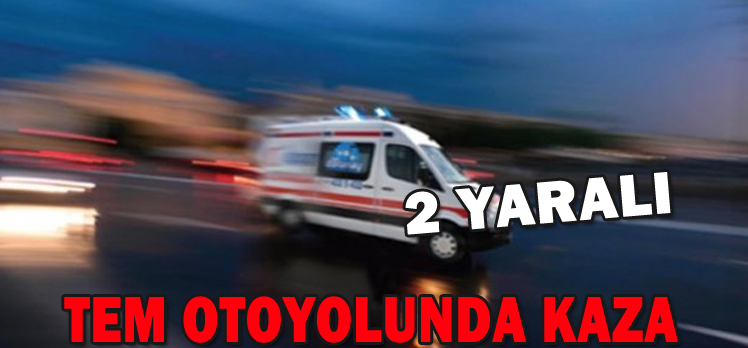 Tem otoyolunda tıra çarpan kamyondaki 2 kişi yaralandı