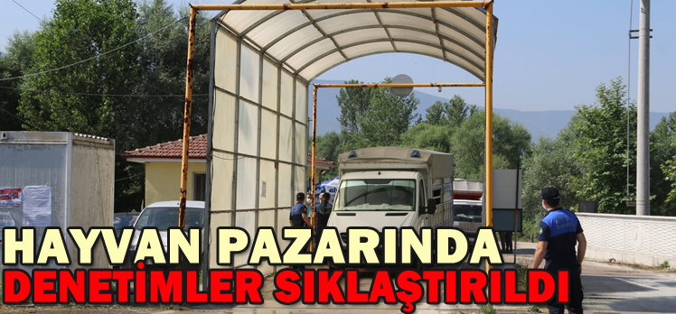 Hayvan pazarında denetimler sıklaştırıldı