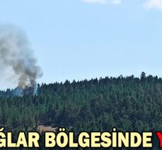 ALADAĞLAR BÖLGESİNDE YANGIN