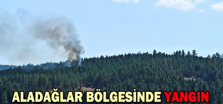 ALADAĞLAR BÖLGESİNDE YANGIN