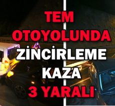 TEM  OTOYOLUNDA ZİNCİRLEME KAZA: 3 YARALI