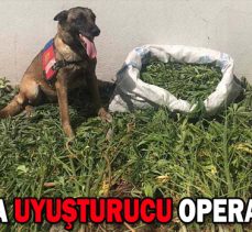 BOLU’DA UYUŞTURUCU OPERASYONU