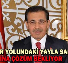 YEDİGÖLLER YOLUNDAKİ YAYLA SAKİNLERİ SORUNLARINA ÇÖZÜM BEKLİYOR
