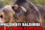 MUDURNU’DA AYI SALDIRISI