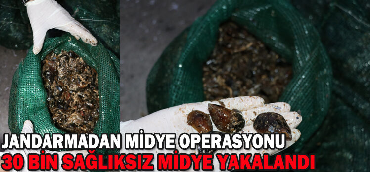 JANDARMADAN MİDYE OPERASYONU