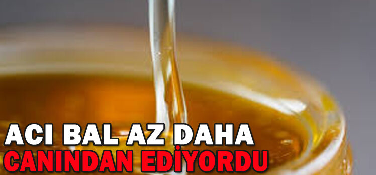 ACI BAL AZ DAHA CANINDAN EDİYORDU