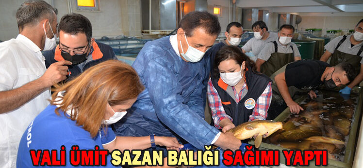 VALİ ÜMİT SAZAN BALIĞI SAĞIMI YAPTI