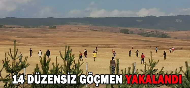 14 DÜZENSİZ GÖÇMEN YAKALANDI