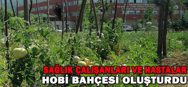 Sağlık çalışanları ve hastalar hobi bahçesi oluşturdu