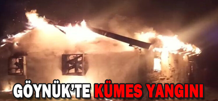 GÖYNÜK’TE KÜMES YANGINI