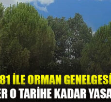 İçişleri Bakanlığı’ndan orman yangınlarına karşı genelge