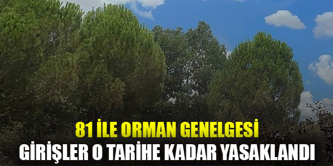 İçişleri Bakanlığı’ndan orman yangınlarına karşı genelge