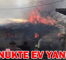 GÖYNÜKTE EV YANGINI