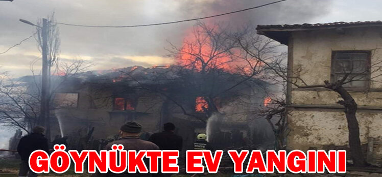 GÖYNÜKTE EV YANGINI