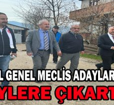 MHP İL GENEL MECLİS ADAYLARINDAN KÖYLERE ÇIKARTMA